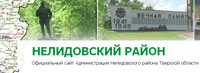 nelidovo raion